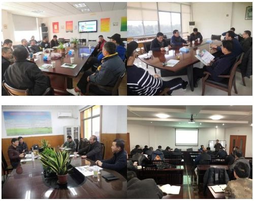 科技服務下基層，精準助力穩產保供——記上海市農科院佳牧公司“科細佳”技術服務活動