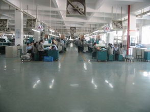 深圳技術服務 創新引擎，驅動城市高質量發展